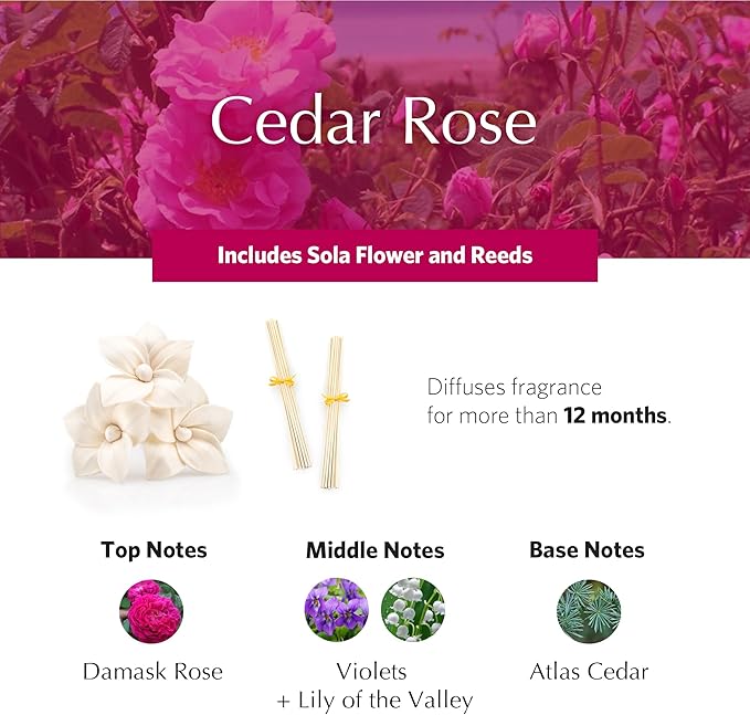 AGRARIA AirEssence Flower and Reed Diffuser Set, Handmade Sola Flower Botanical Home Fragrance Set, Scented Oil Reed Diffuser Gift for All Occasions