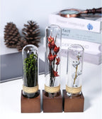 3Pcs Dried Flower Decor,Knick Knacks for Shelves,Cool Stuff for Bookshelf,Small Plants Decor for Office Shelves,Natural Green Plants Boho Shelf Decor,Apothecary Decor,Unique Gifts for Women,Friends
