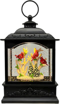 Christmas Snow Globes Lantern with Music & Timer - USB/Battery Operated LED Glittering Globe Lantern, Snow Globe Decoration for Home Holiday Decor (Red Robin)