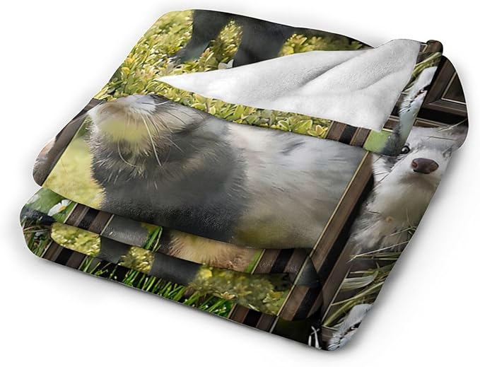 Cute Ferret Blanket for Women Girls Boys Men Funny Animal Ferrets Throw Blanket Plush Cozy Flannel Fleece Ultra Soft Fuzzy Blankets Gifts 60"X50"