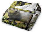 Cute Ferret Blanket for Women Girls Boys Men Funny Animal Ferrets Throw Blanket Plush Cozy Flannel Fleece Ultra Soft Fuzzy Blankets Gifts 60"X50"