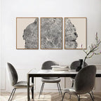 CHDITB Framed Tree Ring Wall Art Set of 3, 24"x36" Abstract Wood Stump Wall Decor, Large Black and White Wall Painting, Neutral Modern Nature Canvas Art Prints for Living Room, Bedroom, Farmhouse