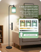 Dimmable Floor Lamp for Living Room with Remote and Foot Switch, Modern Standing, Corner Lamp,10W Bulb 3 Color Temperatures, for Bedroom, Office, Corner, ETL Listed, Black and Green J19LD05