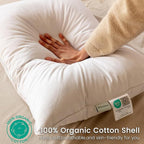 Alanzimo Goose Feathers Down Pillows Queen Size Set of 2, Hotel Collection Fluffy Bed Pillows for Sleeping, 100% Cotton Cover Soft Pillow 20x28 2 Pack