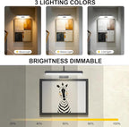 Wireless Picture Light for Wall, Battery Painting Lighting with Metal Material, Remote Control,3 Lighitng Colors,300LM Brightness Dimmable, Timer Auto-off, Adjustable Light head for Portrait Gallery