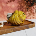Yellow Ceramic Conch Palo Santo Holder - Mini Chimney Incense Burner, Tabletop Smudge Bowl Compatible with Sage/Sticks/Cones/Copal,for Yoga、Zen Meditation、Witchcraft, Ideal Altar Decor Gift