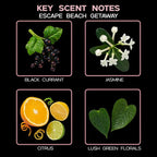 LOVSPA Reed Diffuser Set, Escape Beach Getaway Scented Oil Diffuser with Sticks, Home Fragrance Accessories for Bathroom Shelf Decor, Aroma Diffusers for Home or Office Desk, USA Made