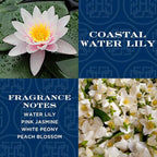 HomeWorx by SLATKIN + CO. Coastal Water Lily Reed Stick Diffuser