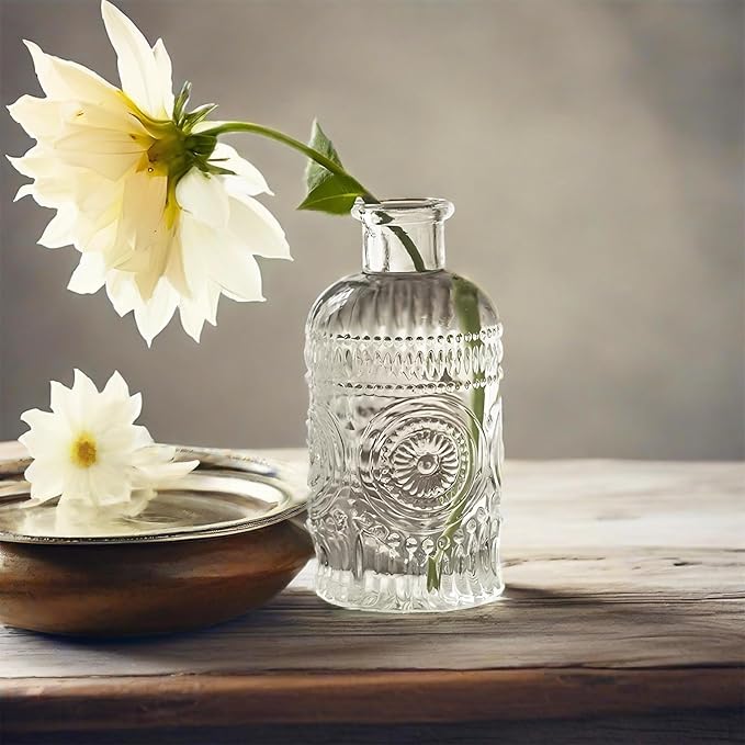 Propagation Vases for Plants, Bud Vases, Small Glass Vase for Flowers, Home Decor, Table Decor, Shelf Decor, Desk Decor, Office Decor