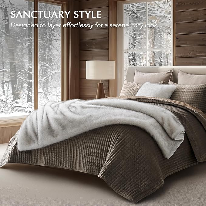 EVERGRACEHOME Luxury Faux Fur Throw Blanket, Soft Fluffy Faux Mink Blankets for Bed, Couch, Sofa, Thick Cozy Plush Warm Fur Throws with Reversible Velvet, Frosted White Wolf, 50"x60"