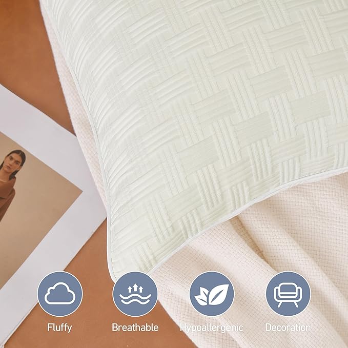 Leeden 24x24 Pillow Inserts Set of 2 - Decorative 24 Inch Throw Pillow Insert, Soft Fluffy Square Throw Pillows for Couch Bed, Beige Couch Pillow Insert Pair