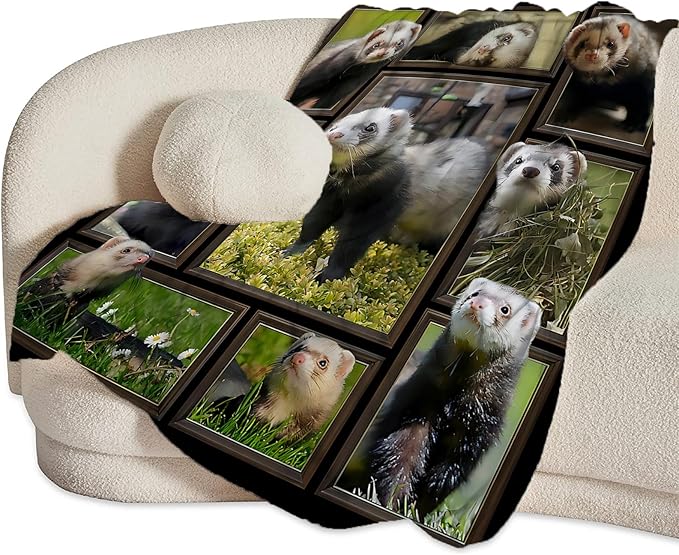 Cute Ferret Blanket for Women Girls Boys Men Funny Animal Ferrets Throw Blanket Plush Cozy Flannel Fleece Ultra Soft Fuzzy Blankets Gifts 80"X60"