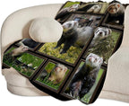 Cute Ferret Blanket for Women Girls Boys Men Funny Animal Ferrets Throw Blanket Plush Cozy Flannel Fleece Ultra Soft Fuzzy Blankets Gifts 80"X60"