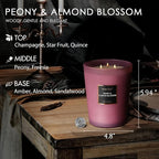 HomeLights Premium Scented Candles - 33.3 oz Natural Soy Wax, Aromatherapy for Home, Long Lasting Smokeless, 130 hrs Burn Time, 3 Cotton Wicks, Gifts for Women & Men - Peony & Almond Blossom