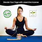 Satya Jasmine & Nagchampa Incense Sticks - 15gmx12 Pack with Raajsee Incense Holder