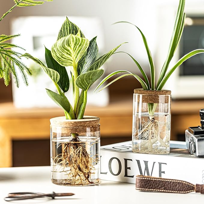 Glass Propagation Stations for Plants -Desktop Flower Vases,Propagation Flower Vases Set – 2 Large & 2 Small for Plant Cuttings，for Living Room, Bedroom Decoration,Home,Office Decor (8)