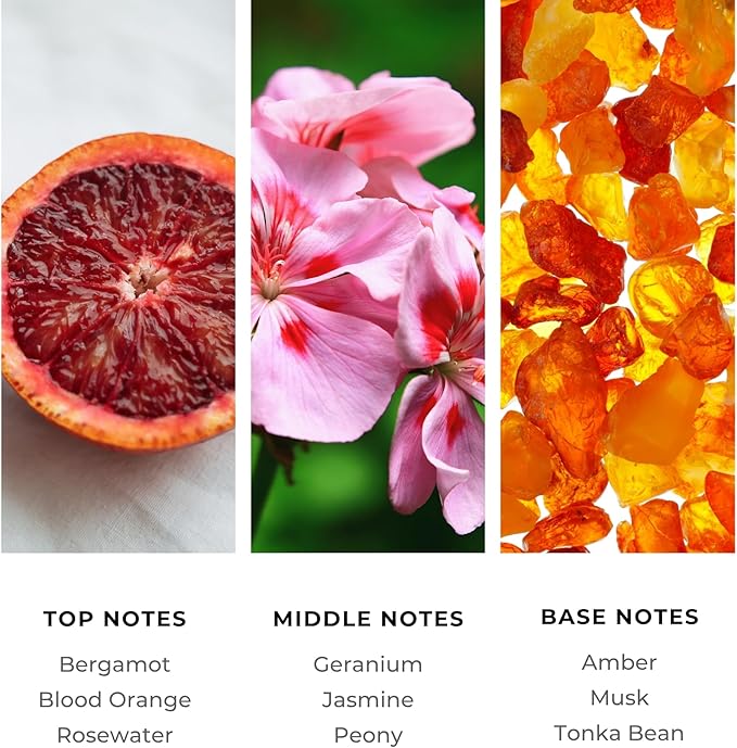 Brilliant Scents French Riviera Fragrance Oil 500ml - Premium Diffuser Oil for Home, Office, Hotels - Long Lasting, Plant-Based, Meets IFRA Standards, USA-Made - Blood Orange, Jasmine, Tonka Bean