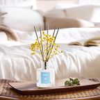 Airkeep Reed Diffuser Set,3.38 fl oz (100 ml) - Lime Basil Oil Diffusers with 8 Reed Sticks, Home Fragrance Reed Diffuser for Bathroom Shelf Decor