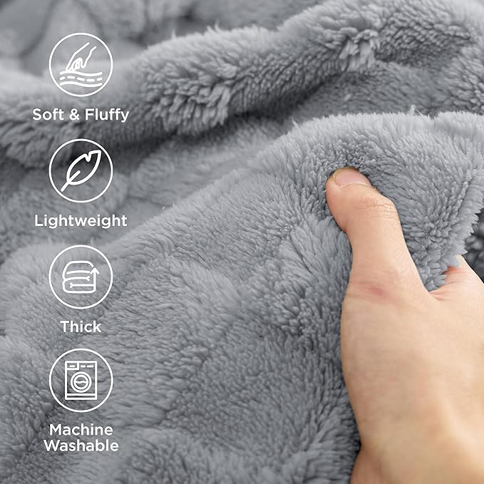 Bedsure GentleSoft Silver Grey Throw Blanket for Couch - Checkered Fleece Blankets Gifts for Women Men Girls, Cute Soft Cozy Throw for Bedroom Home Decor Gifts, 50x60 Inches