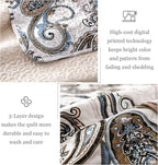 Whale Flotilla Reversible Printed Quilts Queen Size, Extra Soft Boho Paisley Floral Bedspreads for Bed Lightweight Full Queen Quilt Bedding Set Coverlets with 2 Pillow Shams for All Seasons, Bone Grey