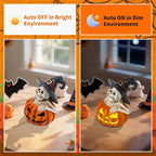 Skeleton Halloween Indoor Decoration: 6.1'' Witch Hat Skeleton Ornament with Solar Pumpkin for Home Fireplace Office Party Perfect Figurine Gift for Gothic Lovers