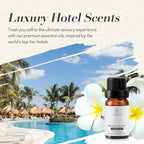 JCLOUD Sophisticated Allure Essential Oil - Inspired by Hilton Hotel Scent | Pure Aromatherapy Diffuser Oil with Jasmine and Cinnamon, Home Luxury Scents - 10mL