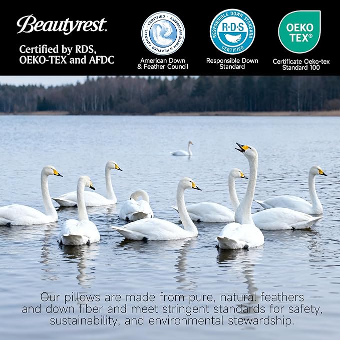 Beautyrest Goose Feather Down Fiber Gusseted Pillows, Hotel Pillow Luxury Bed Pillows, 100% Cotton Cover, Jumbo Size Set of 2