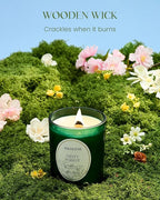 M&SENSE Eucalyptus Pine Soy Candle, Cracking Wooden Wick 18oz 100 Hours Slow Burning Non Toxic, Winter Aromatherapy Candle for Home Fragrance Relaxation, Housewarming Gifts for Men & Women