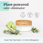 Azuna Air Freshener & Odor Eliminator for Strong Odor | 1 Room Kit Includes (1) Empty Luxe Glass Jar & 8oz Refill with Tea Tree Essential Oil Gel | Amalfi Breeze | Last 60-90 Days