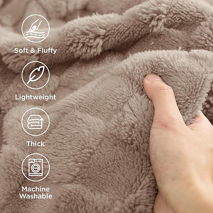 Bedsure GentleSoft Twin Blanket for Bed Light Brown - Super Soft Cozy Blankets for Women Men Girls, Cute Fuzzy Fleece Throws for Bedroom Couch, 60x80 Inches
