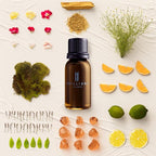Brilliant Scents Diffuser Oil Refill, Inspired by Wymara Resort Turks & Caicos, Hotel Series Aroma Scents, Essential Oils Set for Home, Fragrance Oil for Candle Making, Home, 50 ML, Island Oasis