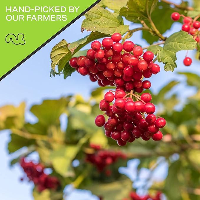 NUT CRAVINGS - Dried Whole Cranberries, Lightly Sweetened, Unsulphured (80oz, 5 LB) Tu Bishvat Favorite - Sweet Healthy Snack, Vegan, Kosher, Resealable Bag