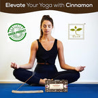 Satya Cinnamon Incense Sticks, Satya Bng (Bangalore) Insenses 15gmx12 Pack with Raajsee Incense Holder Bundle, Satya Nagchampa Natural Incense