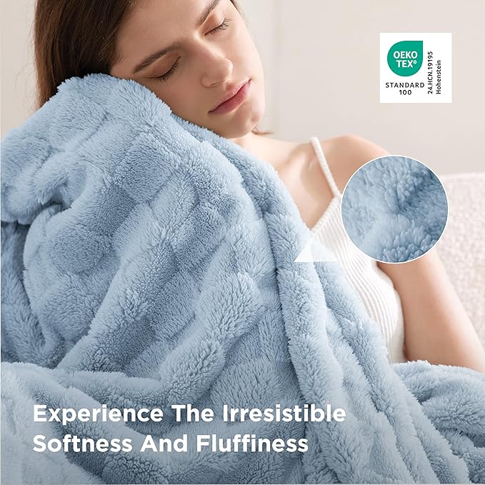 Bedsure GentleSoft Blankets Queen Size for Bed - Super Soft Cozy Blanket for Women Men Girls, Large Fuzzy Fleece Throw for Bedroom Decor, Light Blue, 90x90 Inches
