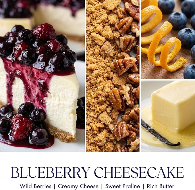 HomeLights Scented Candles for Women & Men, 18oz Candle Jars Aromatherapy 4-Wick Candle, Ideal for Rustic Modern Home Decor and Gifts, Blueberry Cheesecake