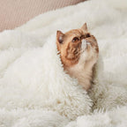 Bedsure GentleSoft Fluffy Cream Throw Blanket Decorative Blankets for Bed Couch Sofa, Cream Decor Sherpa Fleece Soft Cozy Fuzzy Plush Thick Warm Faux Fur Decorations, Ivory Girl Gifts, 50x60