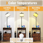 End Table with Floor Lamp, Nightstand with Charging Station, Floor Lamp Table with 3-Color Temperature Bulb, Bedside Table Night Stand with 2 Drawers for Bedroom, Living Room, Brown