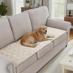 H.VERSAILTEX Couch Cover Chenille Pet Fuzzy Sofa Covers for 3 Cushion Couch Anti Slip Washable Sofa Slipcovers with Strap Soft Couch Protector Cover for Dogs Cats Kids(27.6" x 71", Ivory)