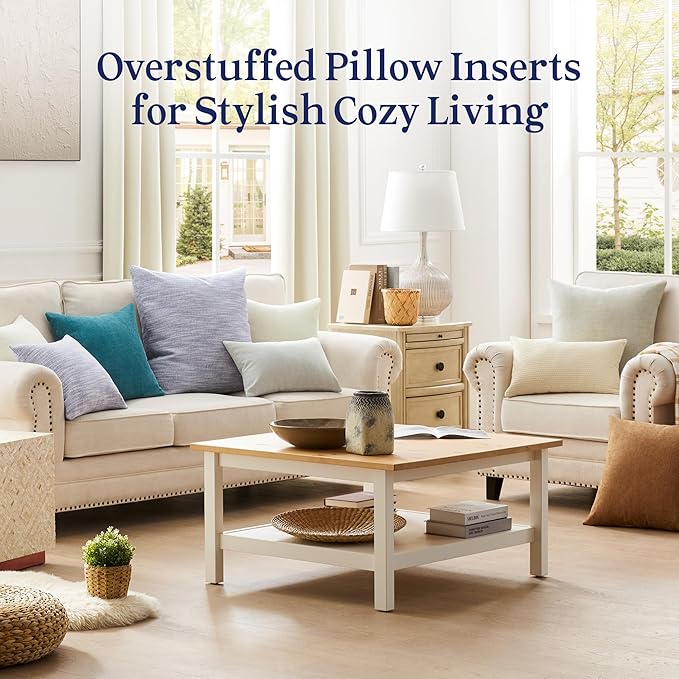 puredown® 18x18 Pillow Inserts Set of 2, Overfilled Down Alternative Decorative Pillows with 100% Cotton Cover, Plush Fluffy Throw Pillows for Couch, Sofa, Bed and Home Decor