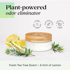 Azuna Air Freshener & Odor Eliminator for Strong Odor | 4 Room Kit Includes (4) 8 oz. Empty Luxe Glass Jars & 24oz Gel | Refill with Tea Tree Essential Oil | Natural Scent | Last 60-90 Days