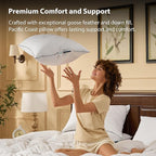Pacific Coast Premium Goose Feather & Down Bed Pillows Queen Size 2-Pack, Hotel Quality Collection, Medium Support for Side & Back Sleepers
