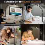 Led Desk Lamp for Home Office, Eye-Care Architect Light with Clamp, Smart Double Head Computer Monitor Table Clip Lamp, Adjustable Flexible Goose-Neck, 25 Lighting Models, Task Lamp, Black