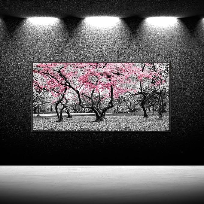 iKNOW FOTO 20x40 Cherry Blossom Trees in Black & White with Pink NYC Park Picture Stretched Canvas Art with Black Floater Frame Nature Landscape Wall Decor Ready to Hang