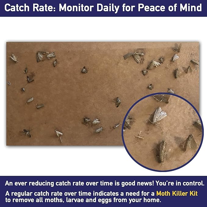 Clothes Moth Traps + Replacement Strips (9 Strips in Total) - Traps & Refills for MothPrevention Moth Traps - for Closets & Clothing