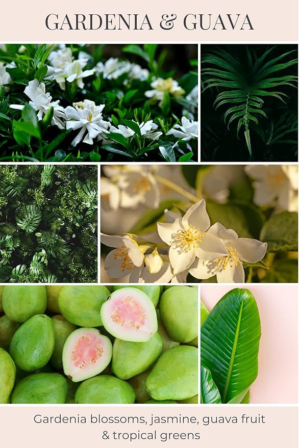 ECO CANDLE CO. Room & Linen Spray, Gardenia & Guava, 8 oz. - Scents Of Gardenia, Jasmine, Guava, & Tropical Greens - Recycled Aluminum Bottle, No Propellents, Pump Top, All Natural Ingredients