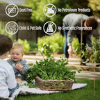 Farm Raised Candles Mintronella Citronella & Peppermint Mosquito Repellent Incense Sticks – 100 Pack – USA‑Made Natural Bug & Insect Repellent – Outdoor Camping, Patio Decor – No‑See‑Um & Gnats, Fly's