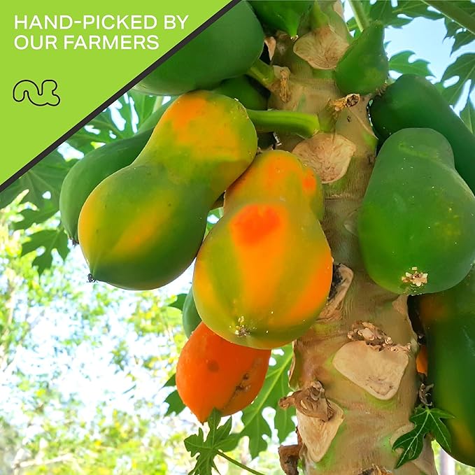 NUT CRAVINGS - Dried Papaya Chunks, Lightly Sweetened (16oz, 1 LB) Tu Bishvat Favorite - Sweet Healthy Snack, Vegan, Kosher, Resealable Bag