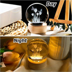 Enjinkail 3D Butterfly Tulips Crystal Ball with Wooden Light Base Glass Tulip Figurine Gift for Women Decor Tulips Statue Gifts for Mother's Day Birthday Valentine Christmas (Diameter 2.36 inches)