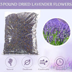 Treela 5 Pound Dried Lavender Bulk Dry Lavender Buds Fragrant Flower Petals for DIY Wedding Gift Crafts Fragrance Sachets