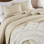 WRENSONGE Queen Quilt-3 Pieces Lightweight Bedspreads Beige Queen Size Quilt Bedding Set for All Seasons,Soft Summer Coverlet with 2 Pillow Shams, Couch